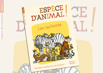 animaux livre enfant