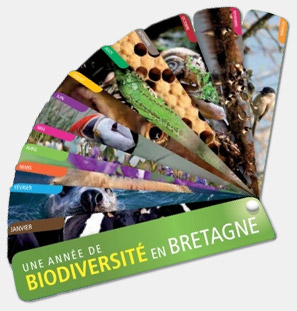 une année de biodiversité en Bretagne