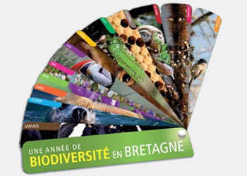 exposition biodiversite itinerante bretagne